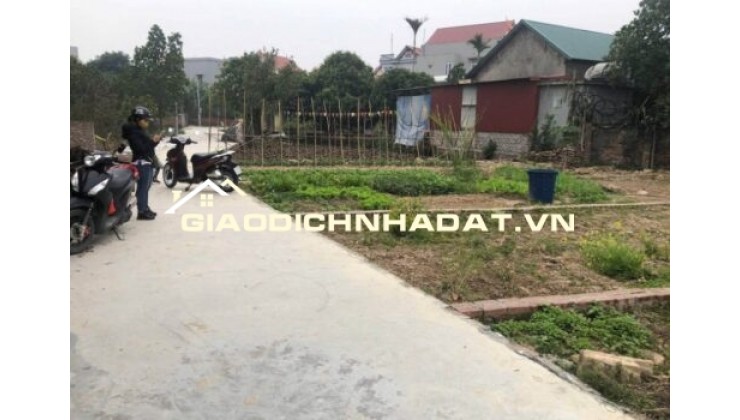 Chính chủ cần bán nhanh lô đất xã Cổ Bi, huyện Bình Giang, Hải Dương